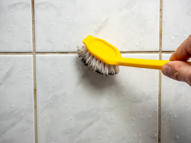 Kirbyville, TX Mold Removal Company