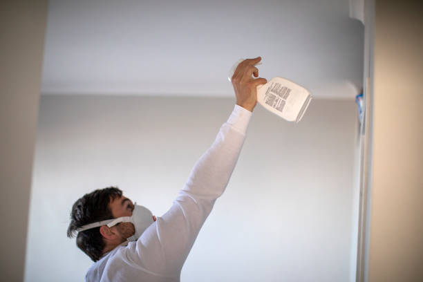 Best Mold Removal Near Me  in Kirbyville, TX